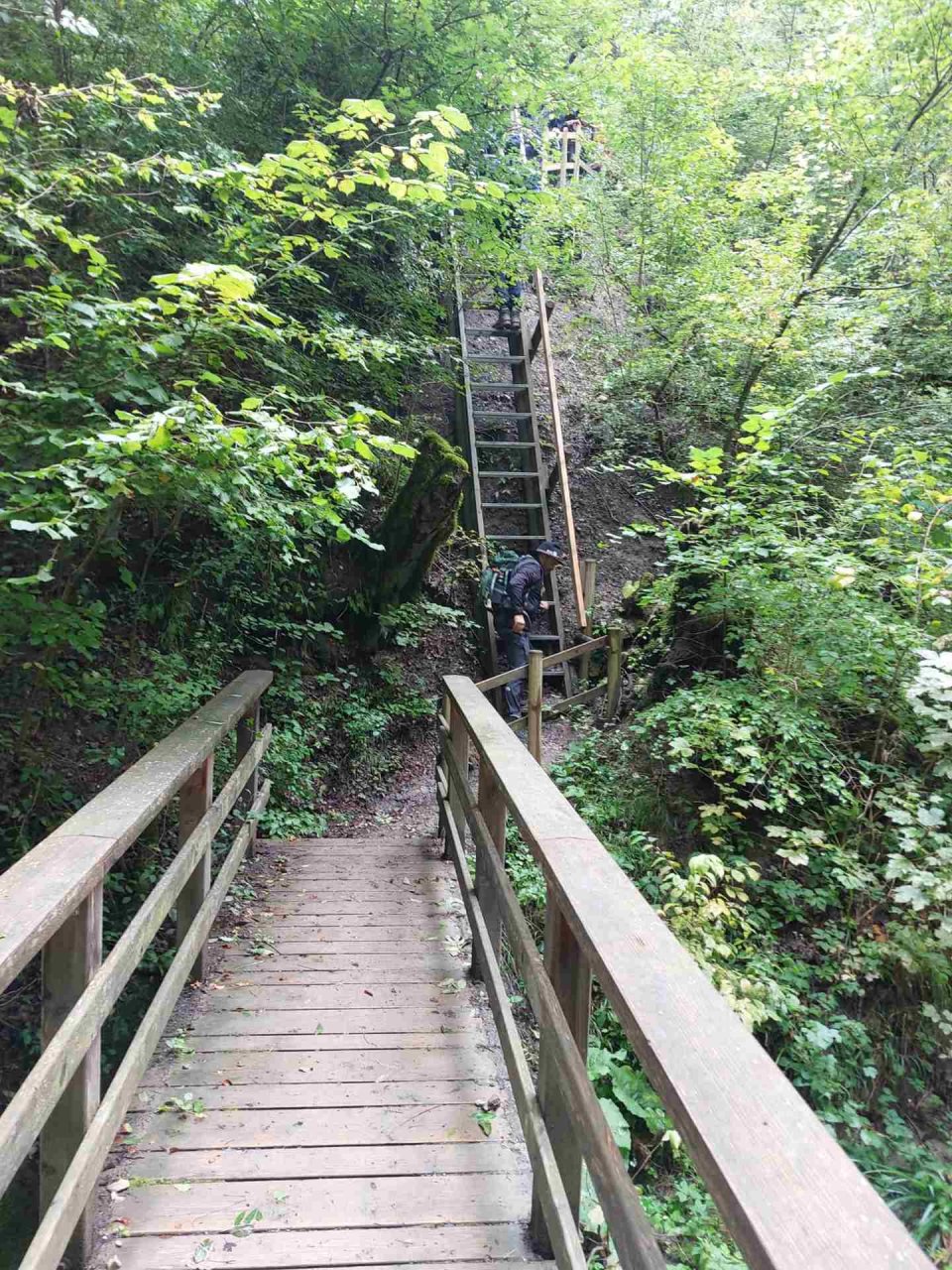 	14 3 Tage auf dem Schluchtensteig im Südschwarzwald